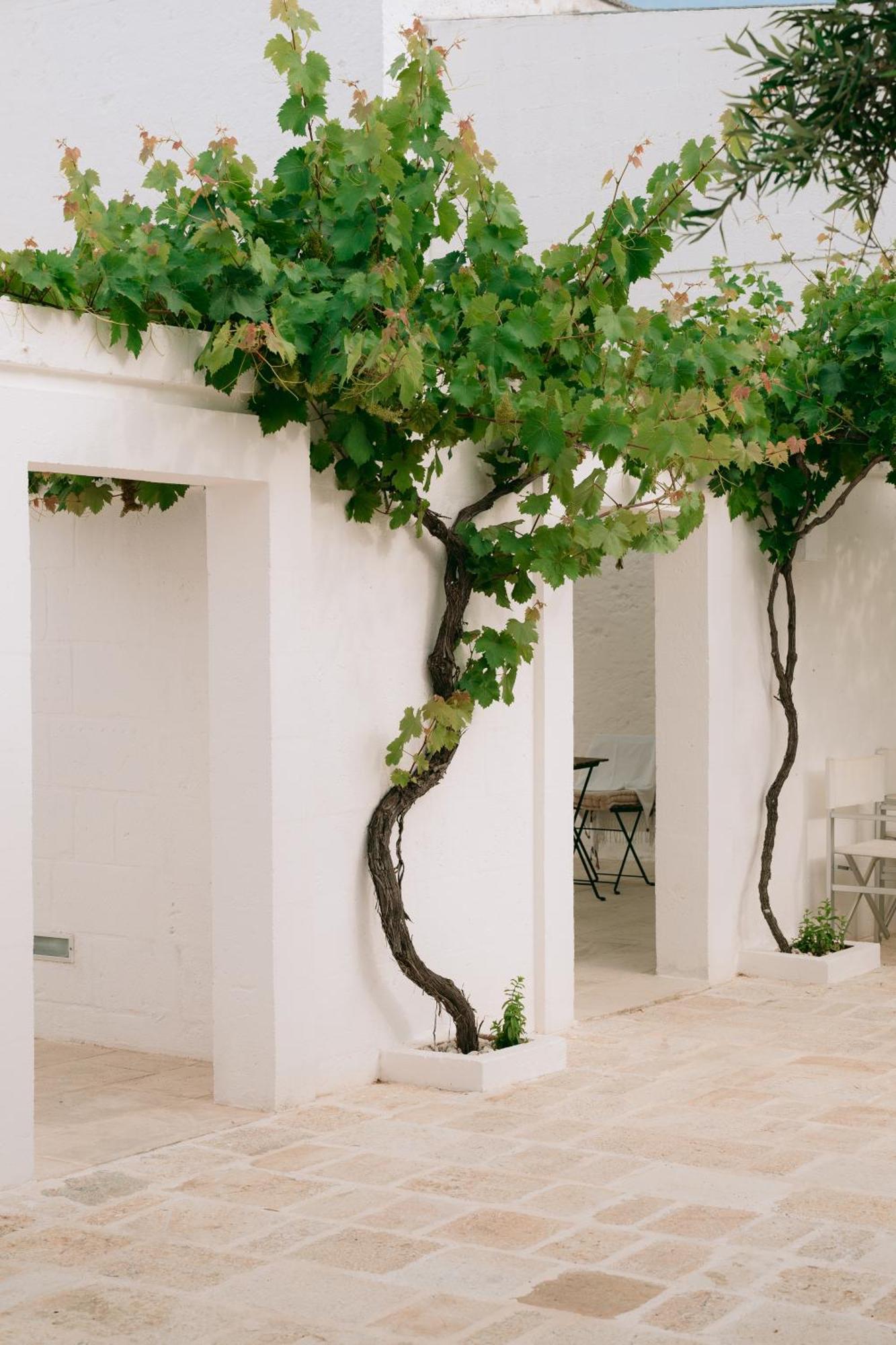 Bed and Breakfast Oltre Gli Ulivi Ostuni Zewnętrze zdjęcie