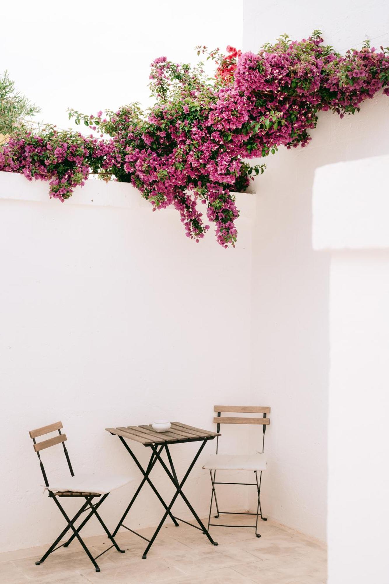 Bed and Breakfast Oltre Gli Ulivi Ostuni Zewnętrze zdjęcie