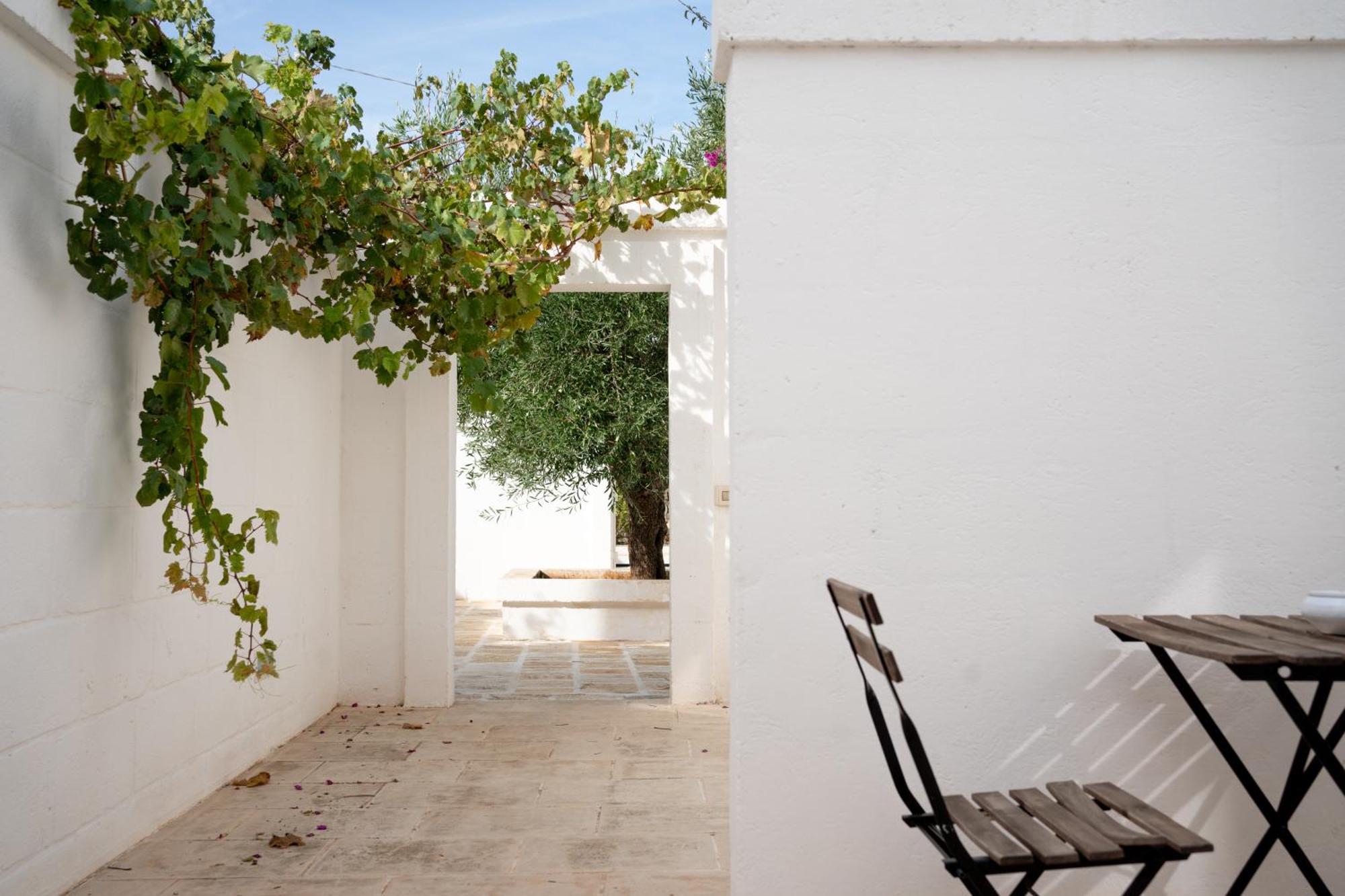 Bed and Breakfast Oltre Gli Ulivi Ostuni Zewnętrze zdjęcie