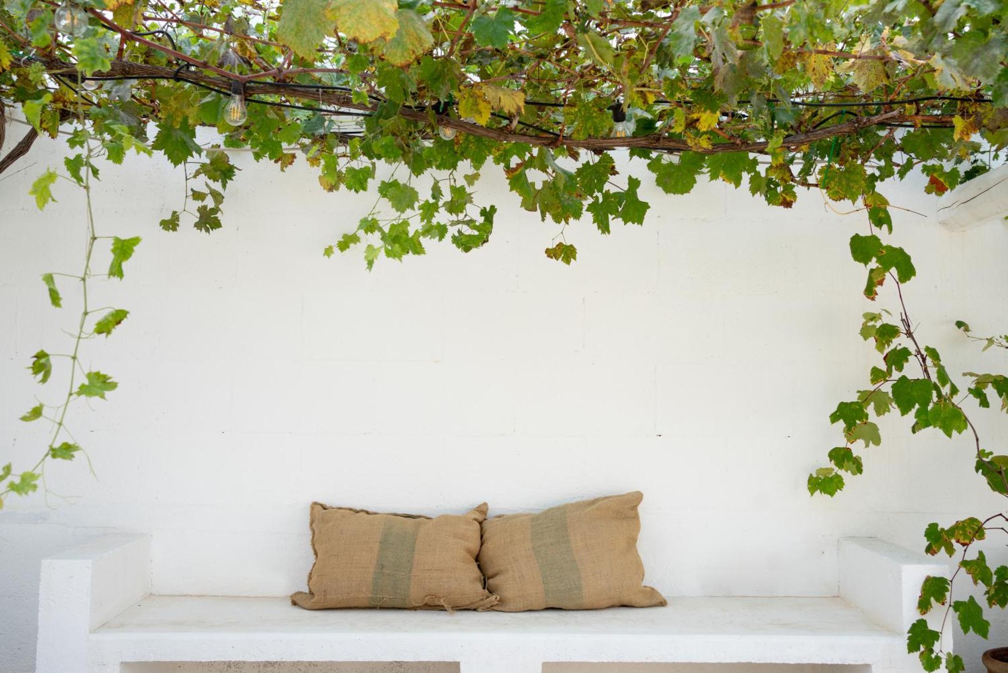 Bed and Breakfast Oltre Gli Ulivi Ostuni Zewnętrze zdjęcie