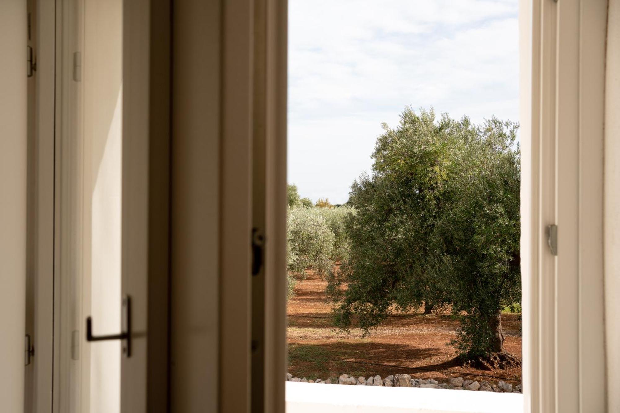 Bed and Breakfast Oltre Gli Ulivi Ostuni Zewnętrze zdjęcie